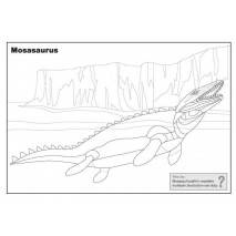 Didaktické omalovánky - Svět dinosaurů