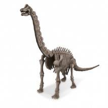 4M Vykopávka kostry dinosaura Brachiosaurus