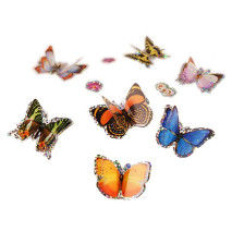 InsectLore Motýlí 3D samolepky - různé barvy