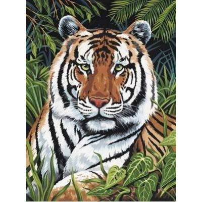 Malování podle čísel - Tygr v trávě PJS75