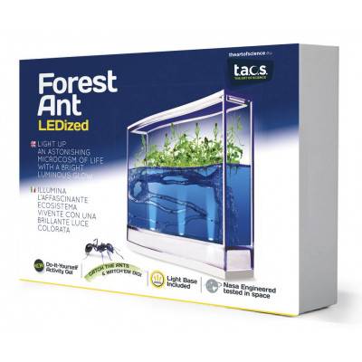 T.A.O.S. Forest Ant LEDized Antquarium